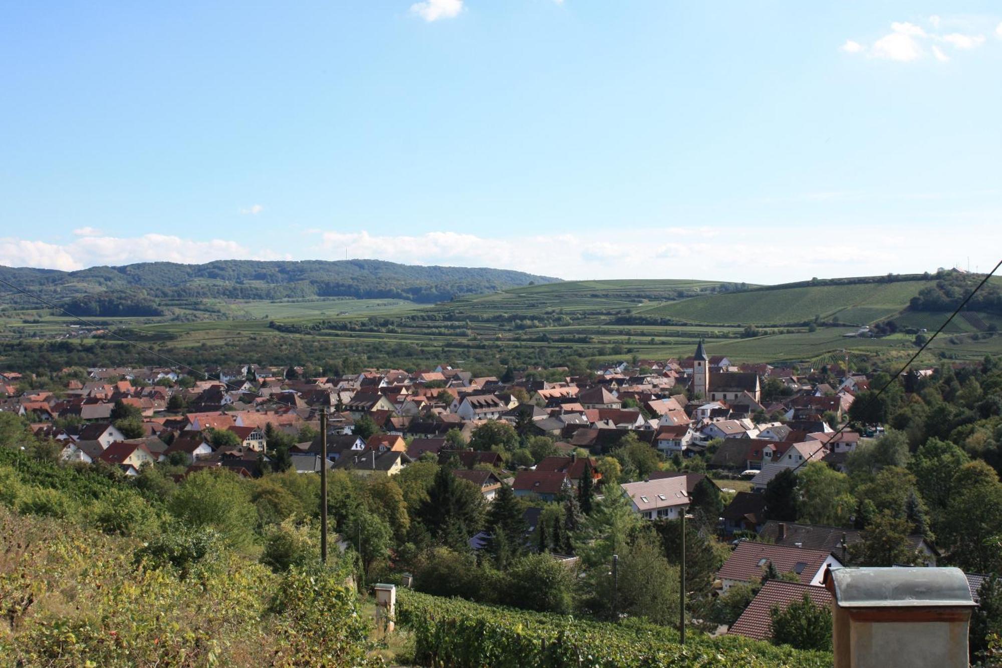 Ferienwohnung Burger Sasbach am Kaiserstuhl Eksteriør billede