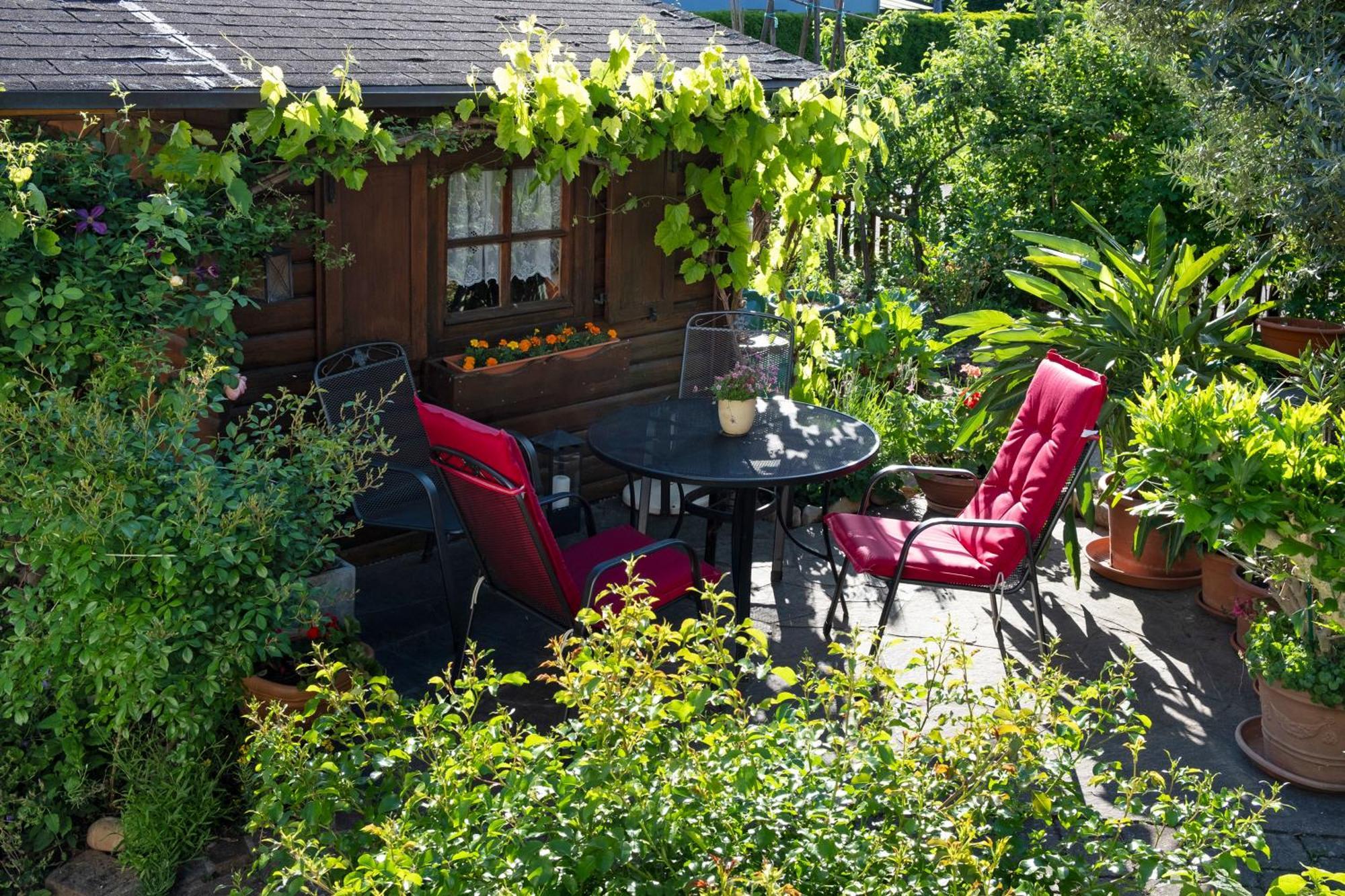 Ferienwohnung Burger Sasbach am Kaiserstuhl Eksteriør billede