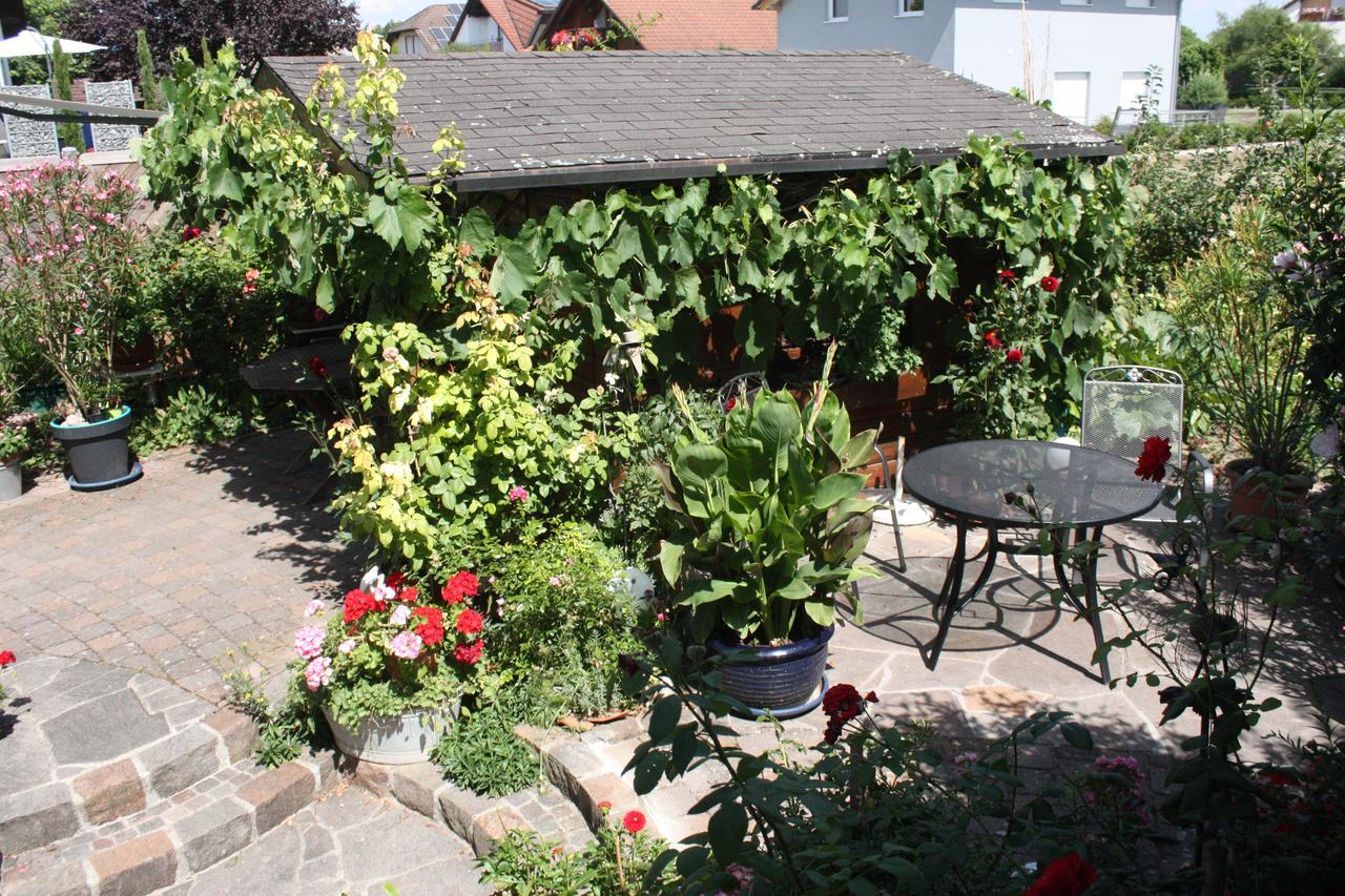 Ferienwohnung Burger Sasbach am Kaiserstuhl Eksteriør billede